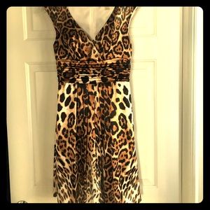 Sassy Animal Print Dress